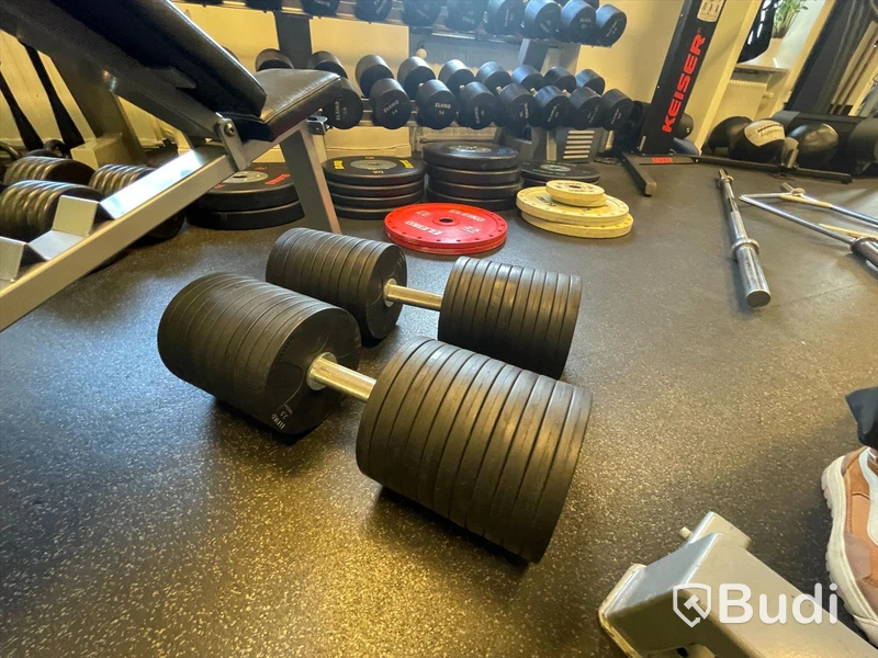 Hantelpar 60 kg Eleiko. Auktionen omstartad.