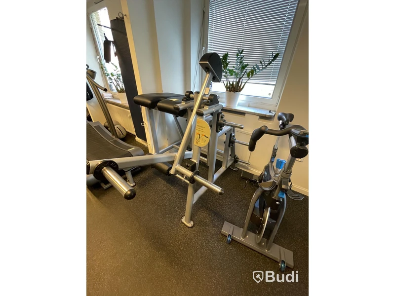 Atlantis Back D-215 nedre rygg-/gluteusmaskin