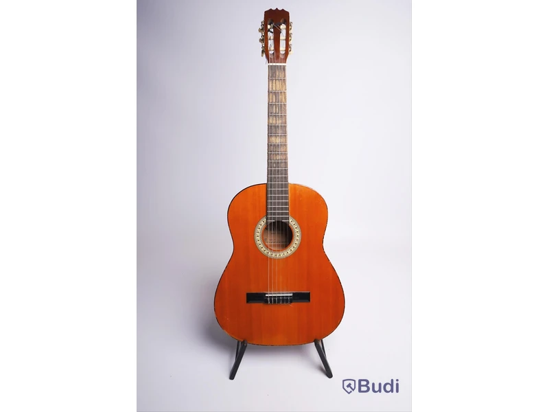 Mitello CG-001 Nylonsträngad Gitarr Ink Case