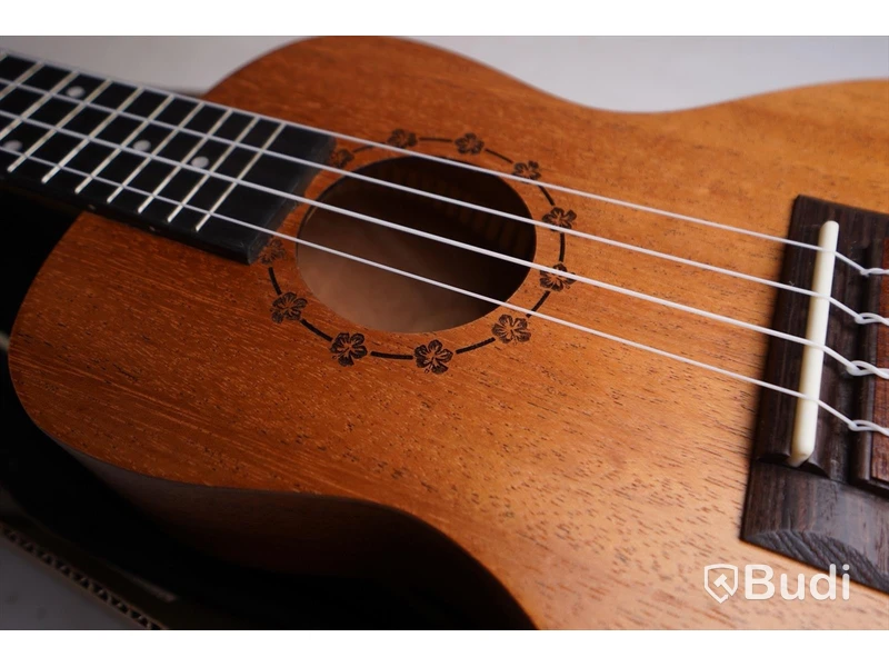 Ukulele 2st Kokio ink Bag