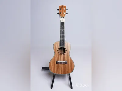 Ukulele - Koki'o, Zebrawood inkl. soft case, RISA Musical Instruments. Ny, Obruten förpackning.