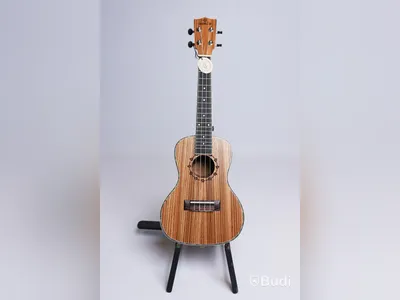 Ukulele - Koki'o, Zebrawood inkl. soft case, RISA Musical Instruments. Ny, Obruten förpackning.