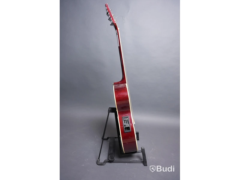 Akustisk Gitarr Inklusive Case - Stagg Handmade Western Guitar Model SW206CE_TR.