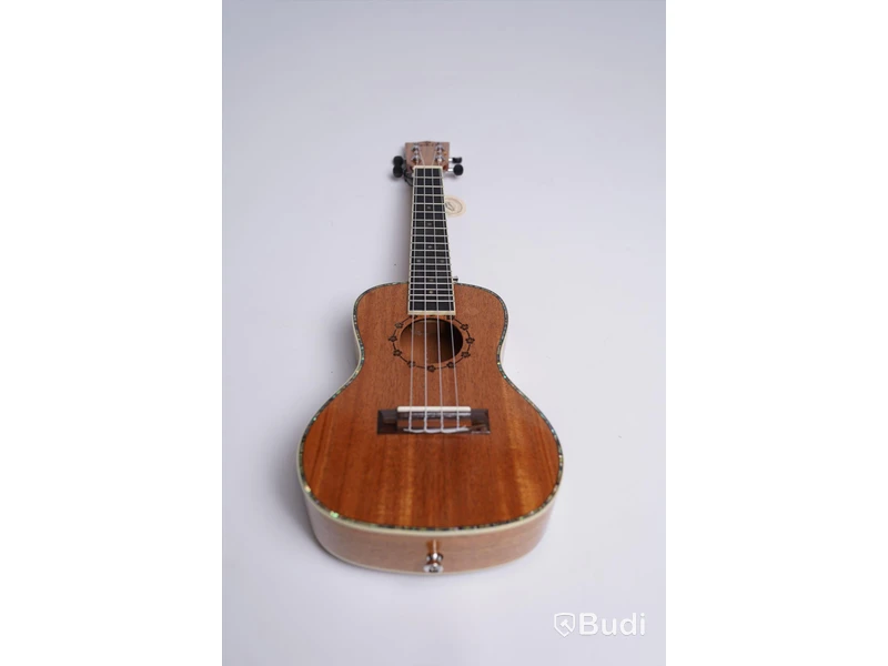 Ukulele - Koki'o, Mahogany Concert Inget Case, RISA Musical Instruments.