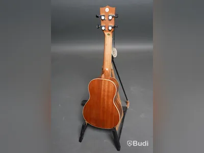 Ukulele - Kokio Solid Top Mahogny Soprano inkl. case