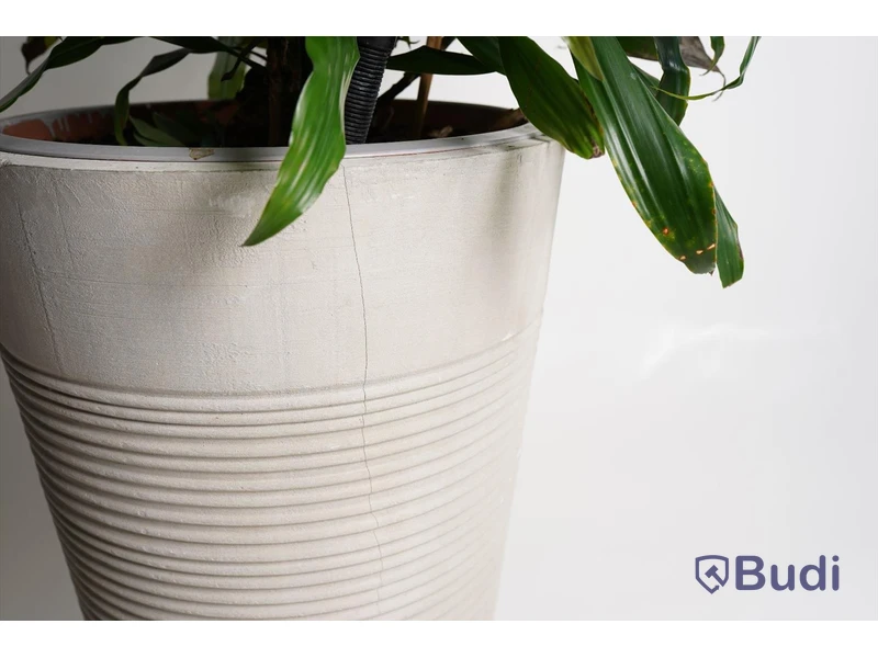 Växt ink. kruka