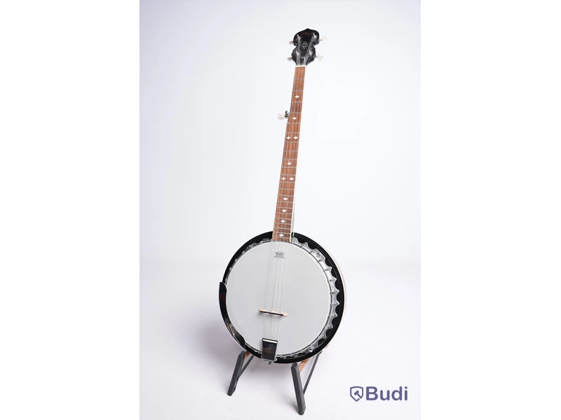 Banjo - Stagg