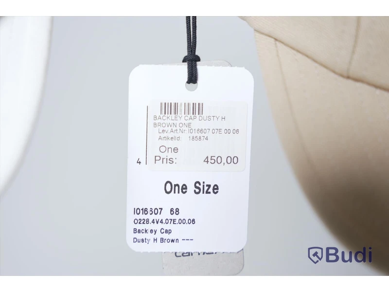 Kepsar 2st - Carhartt Backley Cap