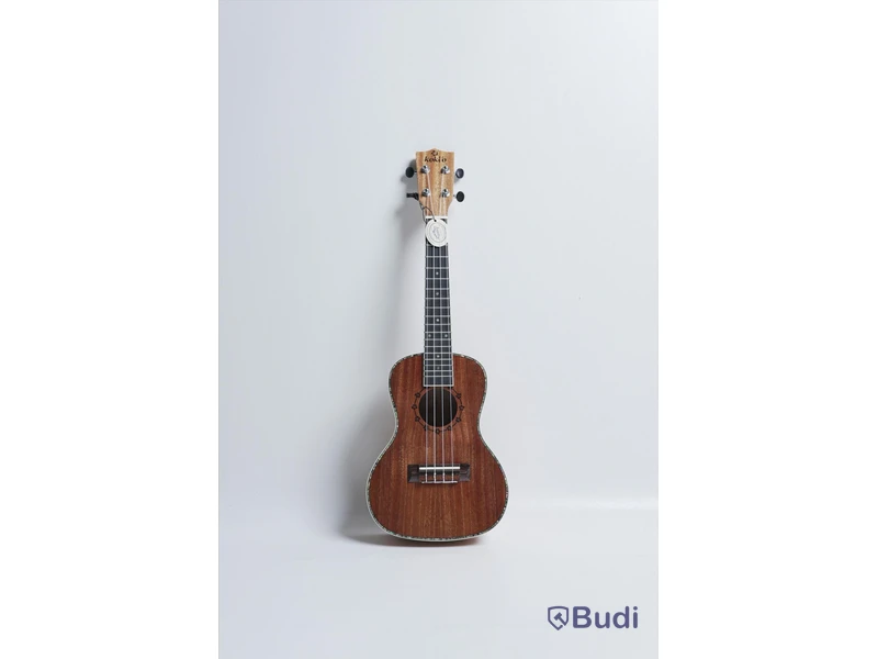Kokio ukulele med case, mahogany