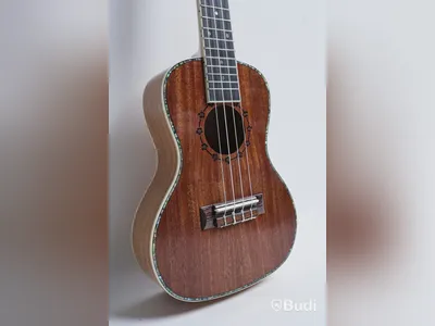 Kokio ukulele med case, mahogany