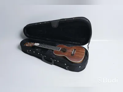Kokio ukulele med case, mahogany