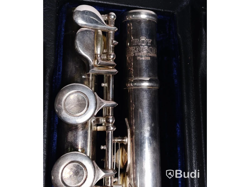 Flöjt - Roy Benson FL402E Flute