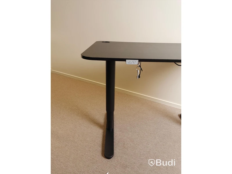 Elektriskt höj och sänkbart skrivbord svart, 120x80