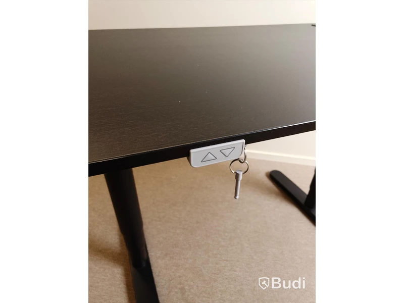 Elektriskt höj och sänkbart skrivbord svart, 120x80