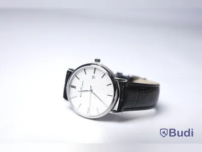 Armbandsur med armband i kalvskinn - BÉLIER THOMS ink armband av strutsskinn, Nypris: 3000 kr