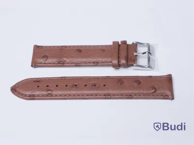 Armbandsur med armband i kalvskinn - BÉLIER THOMS ink armband av strutsskinn, Nypris: 3000 kr
