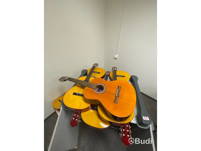 12st Gitarrer i blandat skick