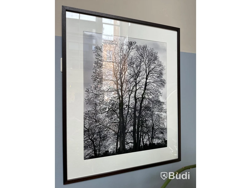 Inramad bild, Trädmotiv, 103x83 cm