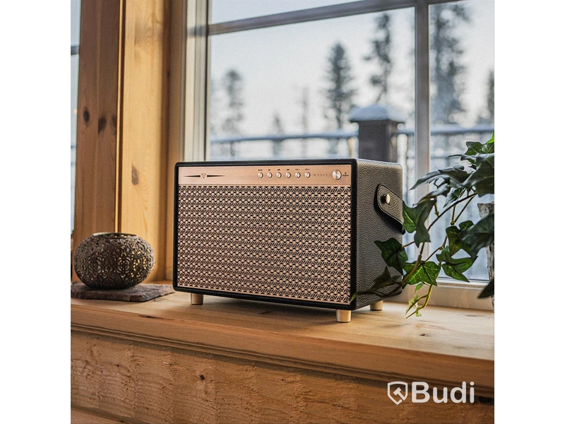 1 st Dynavoice Classic CL-14A i coffee, Bluetooth-högtalare Ord. Pris: 1490 kr