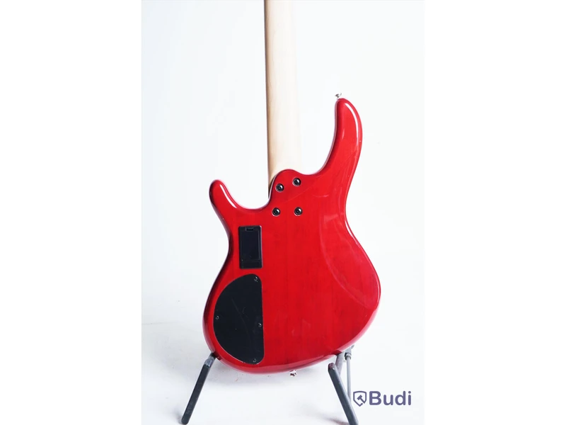 Elbas - Cort Action Bass V Plus. Använt skick, utan case