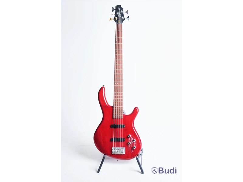 Elbas - Cort Action Bass V Plus. Använt skick, utan case