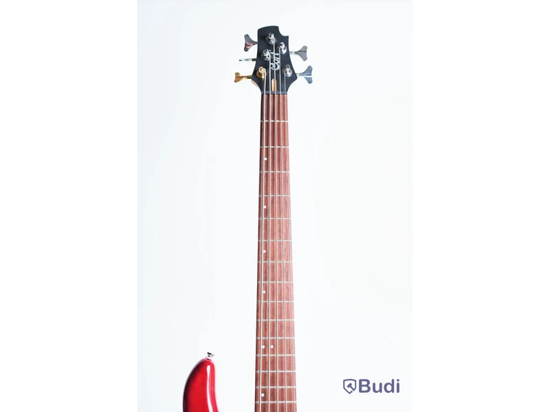 Elbas - Cort Action Bass V Plus. Använt skick, utan case