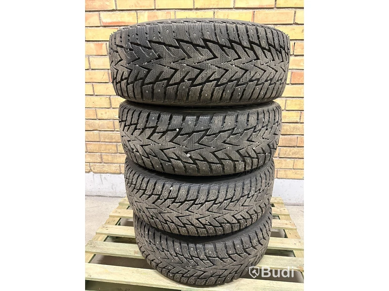 Vinterhjul - Nexen Winguard till Audi E-tron 255/55R19