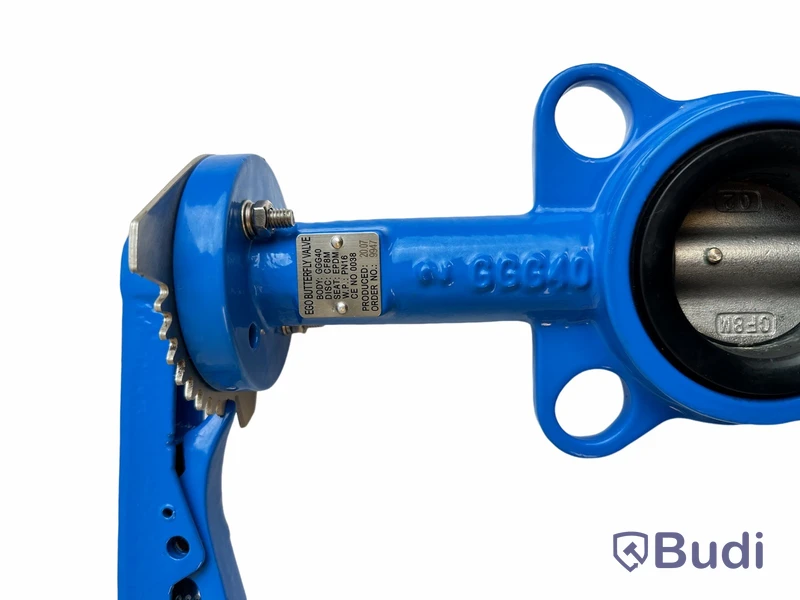 (Ny) Ego Butterfly valve, GGG40, DN80. 2.