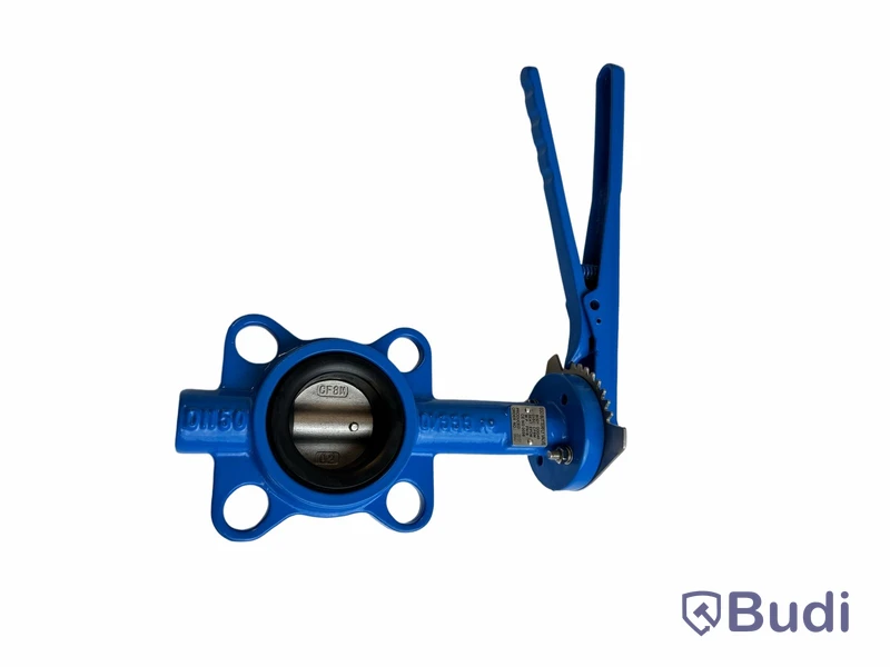 (Ny) Ego Butterfly valve, GGG40, DN80. 2.
