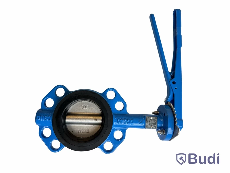 (Ny) Ego Butterfly valve, GGG40, DN80. 3.