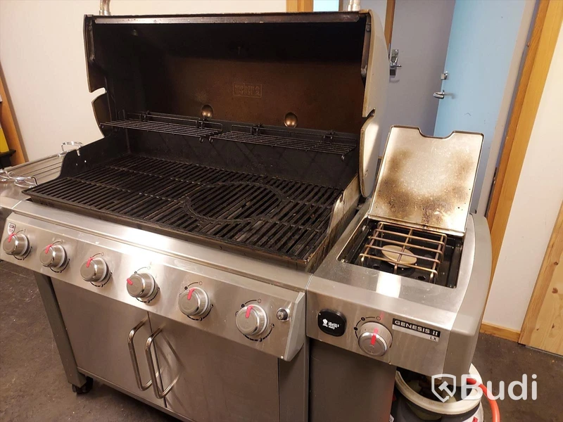 Webergrill Genesis
