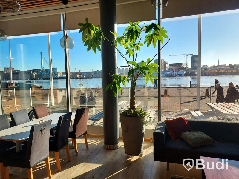 Stora växter i självvattnande krukor