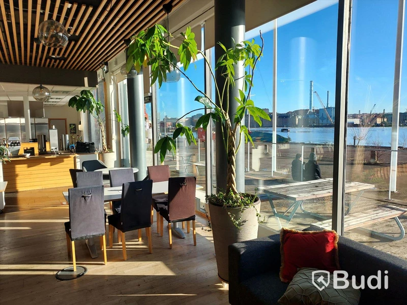 Stora växter i självvattnande krukor