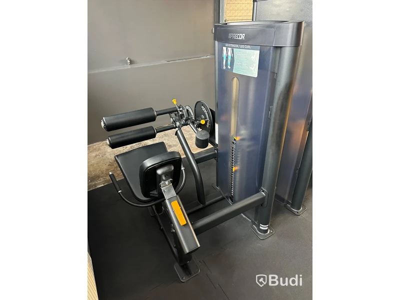 Leg Extension/Leg Curl - Precor Vitality