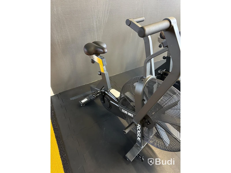 Rogue ECHO Bike v3.0