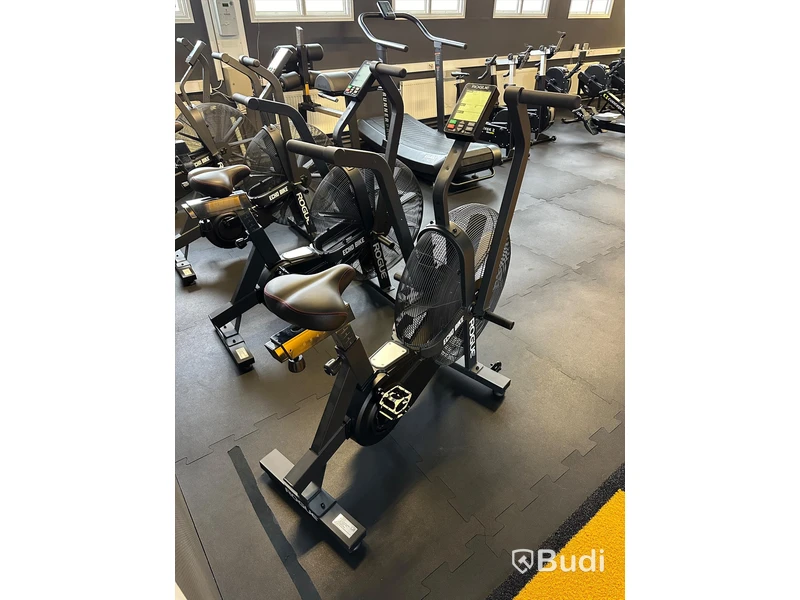 Rogue ECHO Bike v3.0