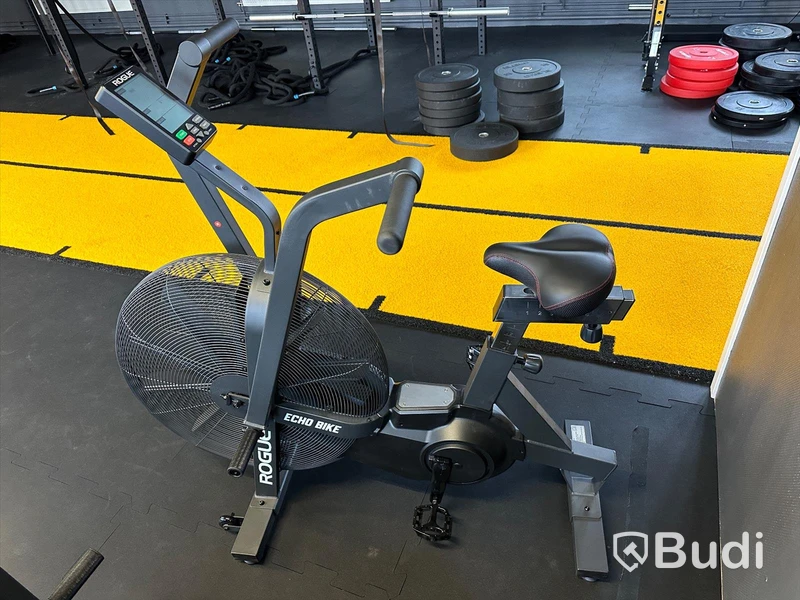 Rogue ECHO Bike v3.0
