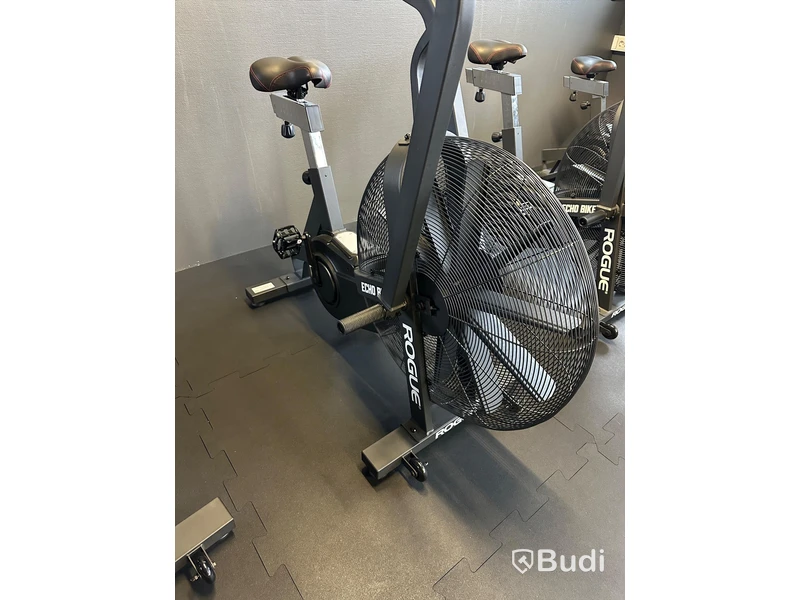 Rogue ECHO Bike v3.0