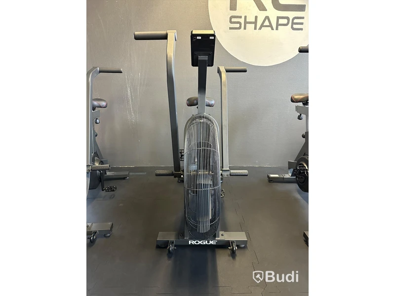Rogue ECHO Bike v3.0
