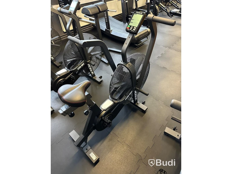 Rogue ECHO Bike v3.0