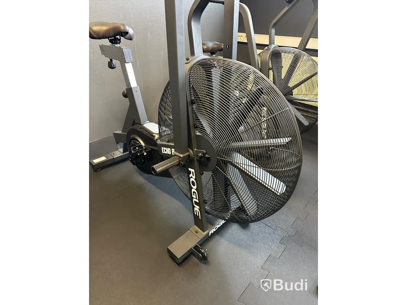 Rogue ECHO Bike v3.0
