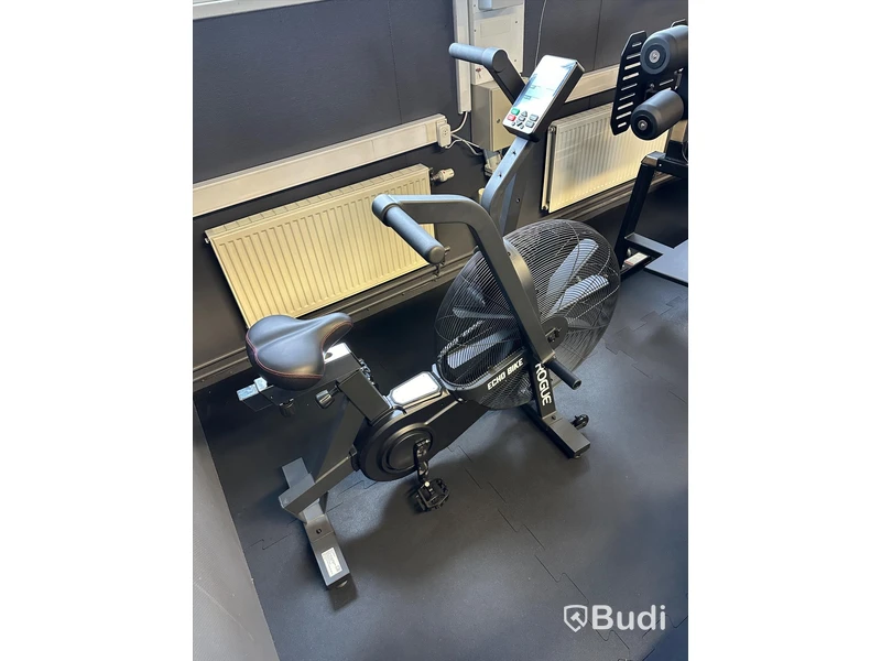Rogue ECHO Bike v3.0