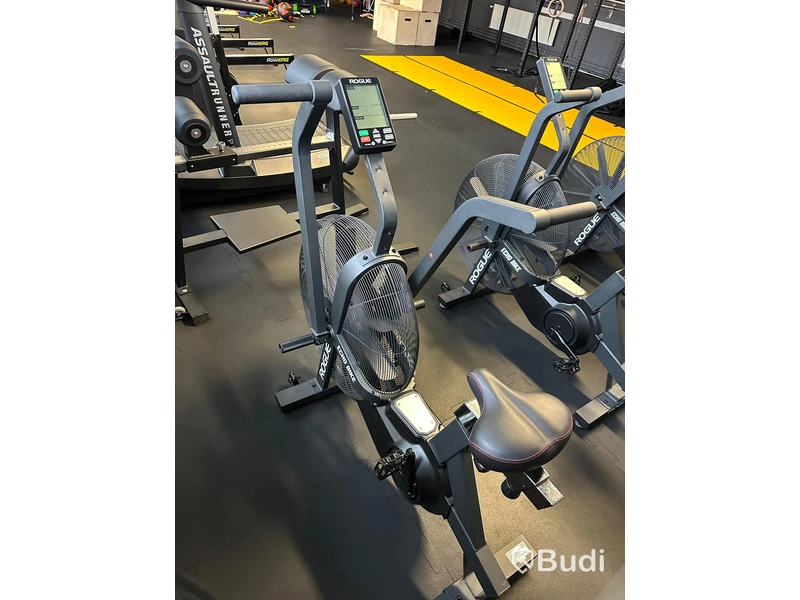 Rogue ECHO Bike v3.0