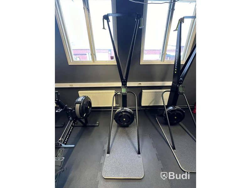 Concept2 SkiErg Standalone