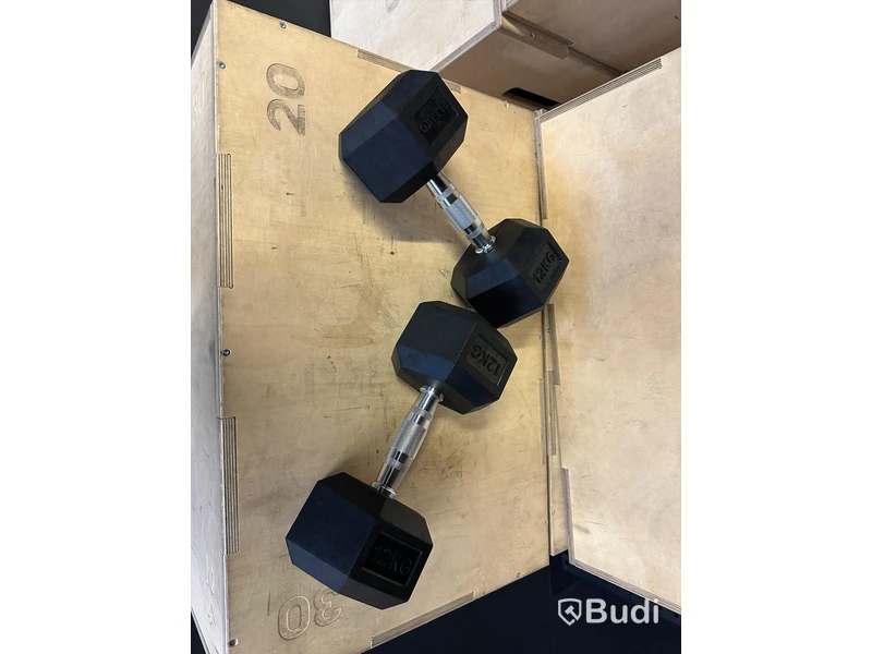 2 st XF Dumbbell - Eleiko 12 kg