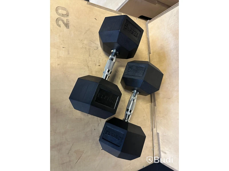 2 st XF Dumbbell - Eleiko 17,5 kg