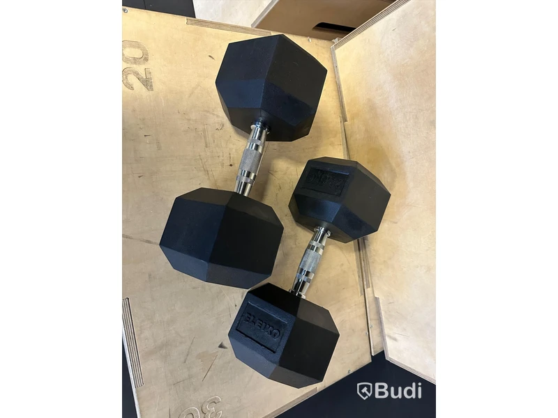 2 st XF Dumbbell - Eleiko 22,5 kg