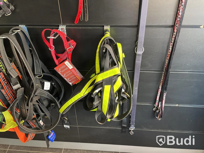 Parti med selar och halsband för husdjur