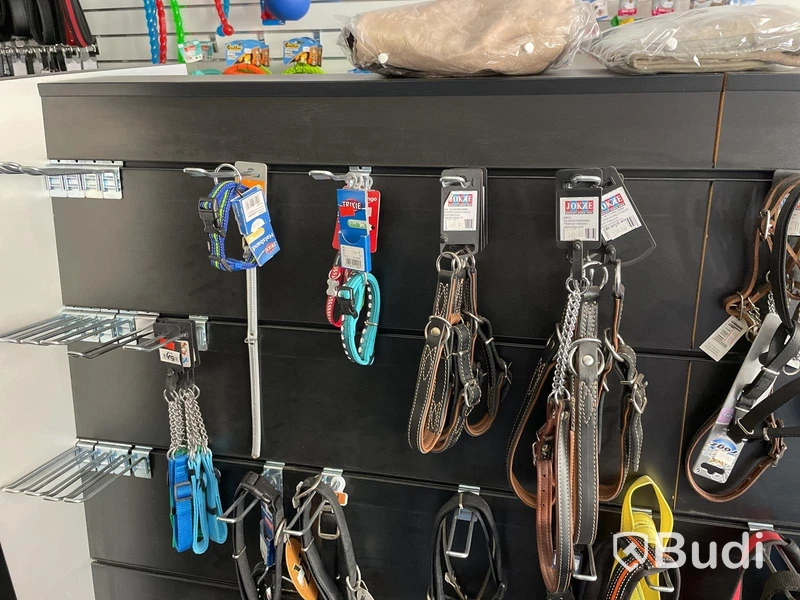 Parti med selar och halsband för husdjur