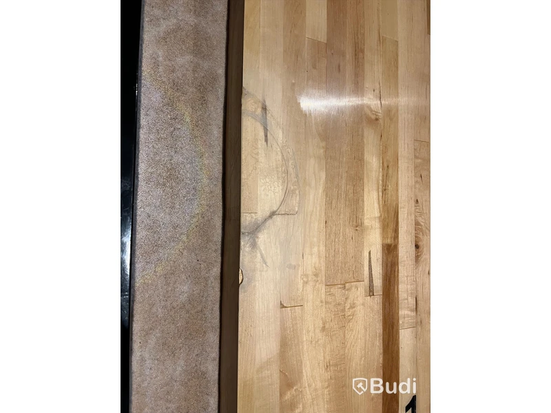 2 st. Professional Shuffleboards 22"